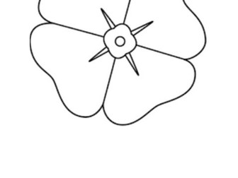 Poppy Template