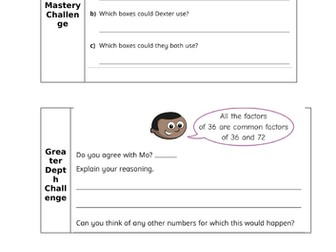 Year 5 Common Factors Lesson