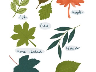 British Leaves Classroom Poster