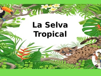 Spanish Rainforest project - La Selva tropical KS2