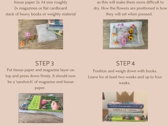 Flower Pressing Instructional Poster