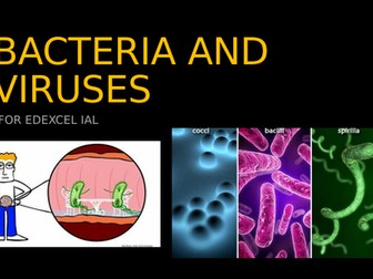BACTERIA AND VIRUSES FOR EDEXCEL A LEVEL