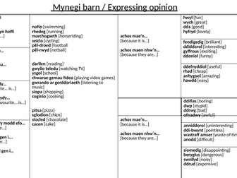 Welsh Expressing opinion / mynegi barn