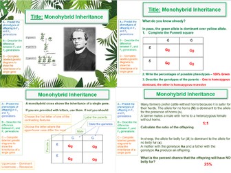 Monohybrid Inheritance, Probability & Crosses -  AQA A Level Biology (A2) -17. Inherited Change