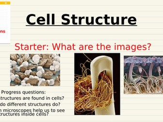 Edexcel ELC Science Cell Structure