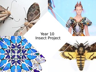 GCSE textiles- insects SOL