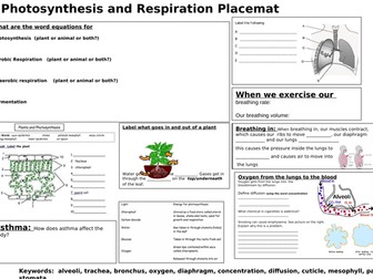Revision Photosynthesis and respiration