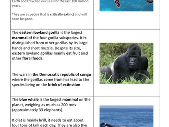 Endangered Animal Categorising Scavenger Hunt
