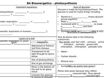 AQA B4 Bioenergetics revision worksheet (F)