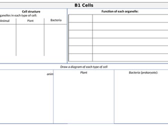 AQA B1 Cell structure revision mat