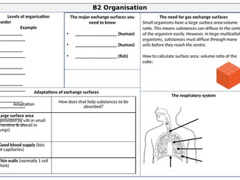 AQA Trilogy (combined science) B2 Organisation revision mat