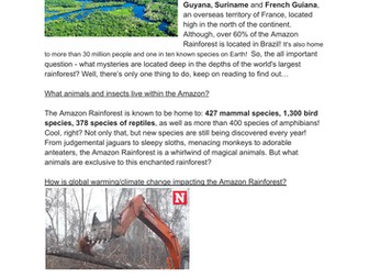 Amazon rainforest information