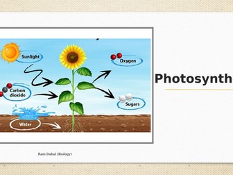 Photosynthesis