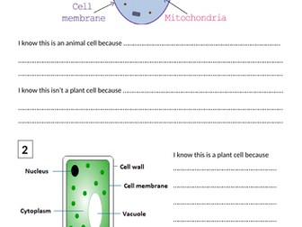 Plant Animal and Bacterial Cells