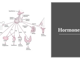 Hormones