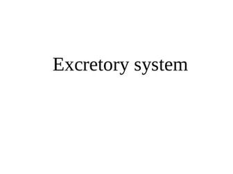Excretory System