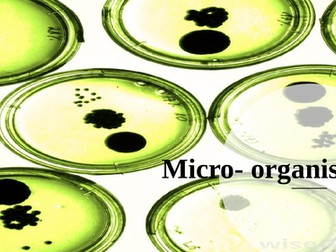 Bacteria, Fungi and Virus