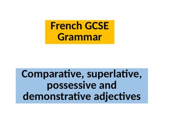 French GCSE Adjectives