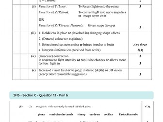 LC Biology - 3.5.3 - Responses in Humans - Senses