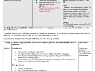 Adjectives Lesson  Used for Observation