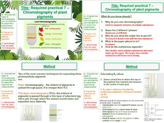 Investigating plant pigments (chlorophyll chromatography) - AQA A Level Biology- 11. Photosynthesis