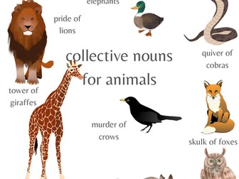 Collective nouns posters animals and sea creatures