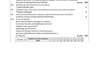 LC - Biology - 3.4.4 & H.3.4.7 - Human Breathing