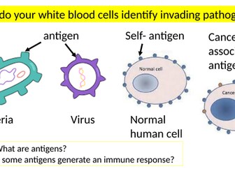 AQA A level Biology Specific immune response