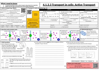 Transport in cells: Active transport