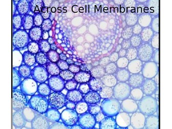 Cells and Movement Across Cell Membranes Booklet