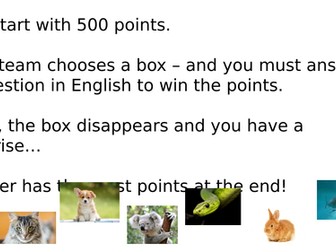 Revision Game