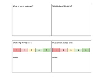 Leuven scale individual assessment