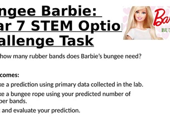 STEM Club Bungee Barbie Project
