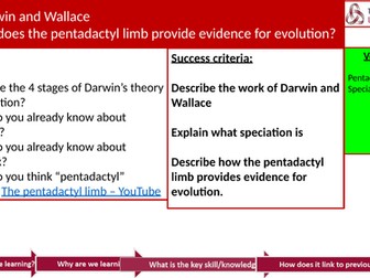 Pentadactyl Limb Edexcel