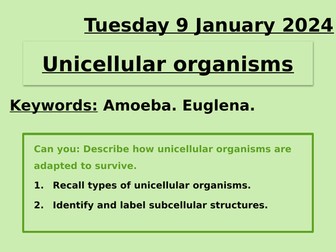 Unicellular organisms