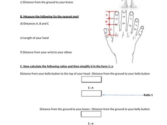 The golden ratio and the human body