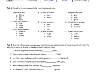 Adjective agreement worksheet French