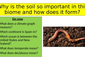 Why is the soil so important in this biome and how does it form?