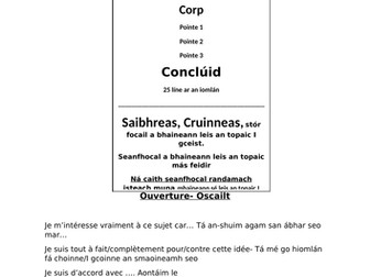 Opinion Piece Phrases for Leaving Certificate French