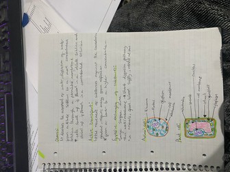 Cell Structure and Transport GCSE