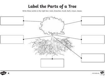 Science Parts/Types of trees Primary