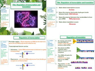 Regulation of transcription and translation- AQA A Level Biology- 20. Gene expression (A2)