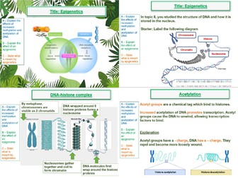 Epigenetic (control of gene expression)- AQA A Level Biology- 20. Gene expression (A2)