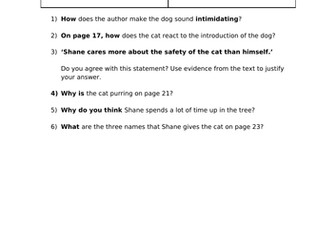 Way Home by Libby Hathorn Guided Reading Questions