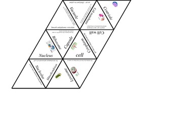 KS3 Cells puzzle