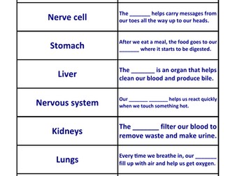 KS3 organs puzzle
