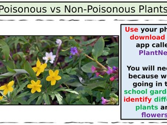 Fieldstudy: Poisonous vs Non-Poisonous Plants