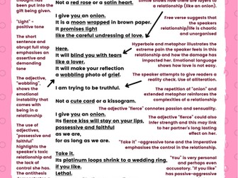 Valentine Poem analysis by Carol Ann Duffy