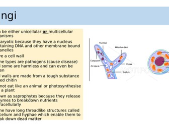 Edexcel IGCSE Biology Section 1 Lesson 2 Classifying Organisms