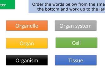 Edexcel IGCSE Biology Section 1 Lesson 3 - Plants and Animals